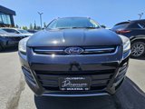 Used 2014 Ford Escape Titanium image 4