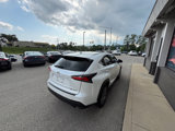 Used 2016 Lexus NX 200t AWD w/ Premium Package image 3