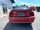 Used 2000 Ford Mustang Convertible image 6