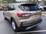 Used 2020 Ford Escape SE image 3