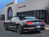 Used 2022 Ford Mustang Premium image 4