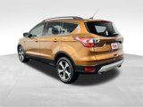 Used 2017 Ford Escape SE w/ SE Leather Comfort Package image 4