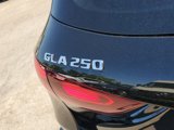 New 2025 Mercedes-Benz GLA 250 image 5