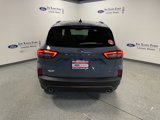 New 2025 Ford Escape ST-Line Elite w/ Tech Pack #1 image 5