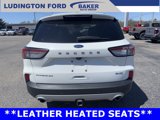 Used 2021 Ford Escape Titanium image 4