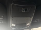 Used 2019 Ford F150 XLT w/ Equipment Group 302A Luxury image 5