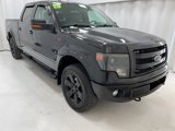 Used 2013 Ford F150 FX4 image 3