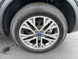 Used 2022 Ford Escape SEL image 4
