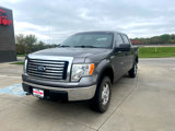 Used 2009 Ford F150 XL image 2