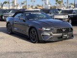 Certified 2022 Ford Mustang Premium image 2