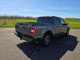 Used 2019 Ford F150 XLT w/ Equipment Group 302A Luxury image 5