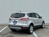 Used 2015 Ford Escape SE image 5
