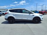 Used 2019 Ford Escape SE image 4