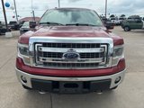 Used 2014 Ford F150 XLT w/ Equipment Group 302A Luxury image 2
