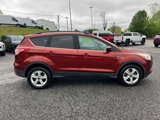 Used 2016 Ford Escape SE w/ Equipment Group 201A image 6