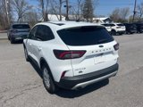 Used 2025 Ford Escape Active w/ Active Premium Tech Pack image 5