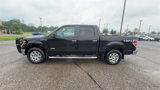 Used 2013 Ford F150 XLT w/ Luxury Equipment Group image 5