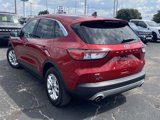 Used 2022 Ford Escape SE image 5