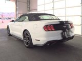 Used 2018 Ford Mustang Premium image 4