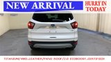Used 2019 Ford Escape Titanium image 4