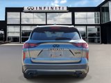 New 2024 INFINITI QX50 Sport image 5