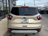 Used 2017 Ford Escape SE w/ SE Cold Weather Package image 6