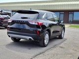 Used 2022 Ford Escape SE w/ Convenience Package image 5