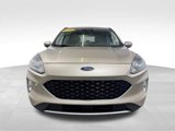 Used 2020 Ford Escape SEL image 2