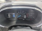 Used 2020 Ford Edge Titanium w/ Cargo Accessory Package image 2