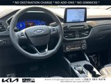 Used 2020 Ford Escape Titanium image 2