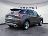 Used 2020 Ford Escape SE image 5