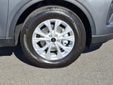 New 2025 Ford Escape Active w/ Tech Pack #1 image 5