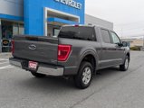 Used 2023 Ford F150 XLT image 4