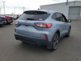 Used 2022 Ford Escape SE w/ SE Sport Appearance Package image 5