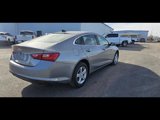 New 2025 Chevrolet Malibu LS w/ Driver Confidence Package image 4