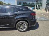 Used 2020 Lexus RX 350 AWD w/ Luxury Package image 4