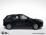 Used 2023 Ford Escape Active w/ Tech Pack #2 image 2