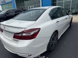 Used 2017 Honda Accord Sport Special Edition image 3