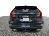 New 2025 Cadillac XT4 Premium Luxury image 4