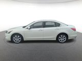 Used 2009 Honda Accord EX-L image 4
