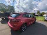 Used 2024 Ford Escape ST-Line image 5