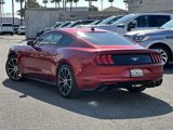 Used 2021 Ford Mustang Coupe w/ Equipment Group 101A image 6