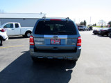 Used 2011 Ford Escape Limited w/ 302A Rapid Spec Order Code image 4
