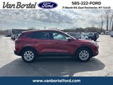 Used 2025 Ford Escape Active w/ Cold Weather Package image 5