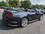 Used 2021 Ford Mustang Premium w/ Equipment Group 201A image 4
