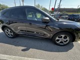 Used 2024 Ford Escape ST-Line image 2