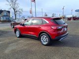 Used 2022 Ford Escape SE image 6