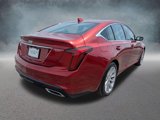 Certified 2024 Cadillac CT5 Luxury w/ Sun And Sound Package image 5