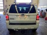 Used 2009 Ford Escape XLT image 3
