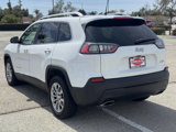 Used 2019 Jeep Cherokee Latitude Plus w/ Comfort/Convenience Group image 3